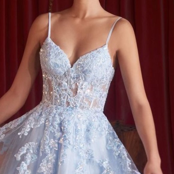 NEW A-LINE SLEEVELESS FORMAL TULLE DRESS EMBROIDERED WITH FLORAL LACE CD CM347 - Picture 9 of 10